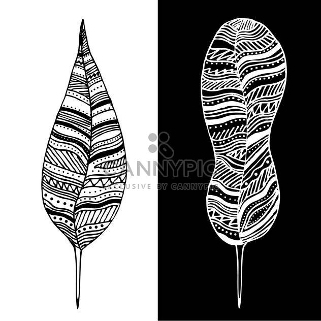 Vector illustration of abstract black and white feathers - vector gratuit #126400 