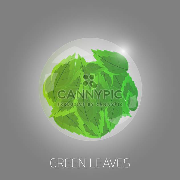 Vector illustration of green leaves - Free vector #128690