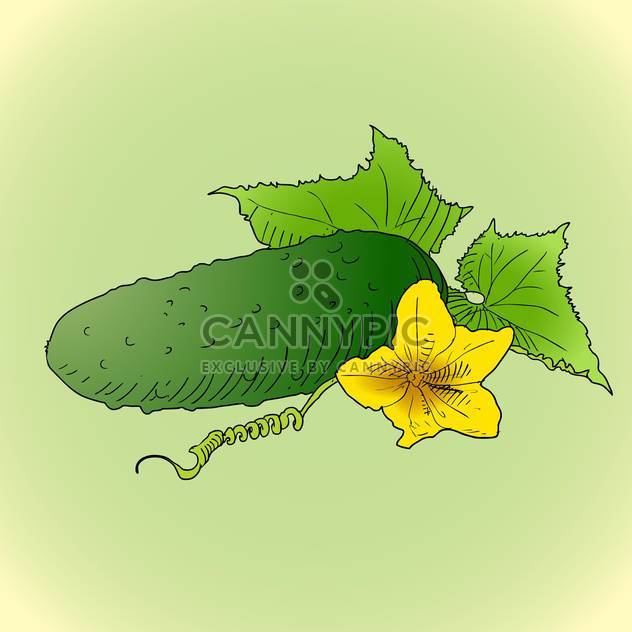 colorful illustration of cucumber with green leaves and yellow flower on green background - бесплатный vector #126950