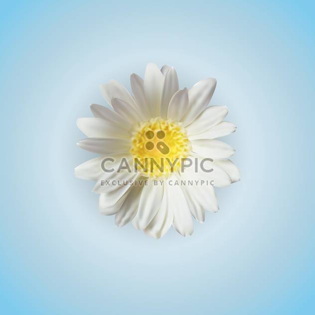 White chamomile flower, vector icon - vector gratuit #128250 