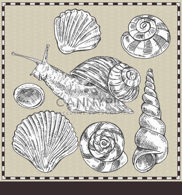 snail and shells in vintage style illustration - vector gratuit #135180 