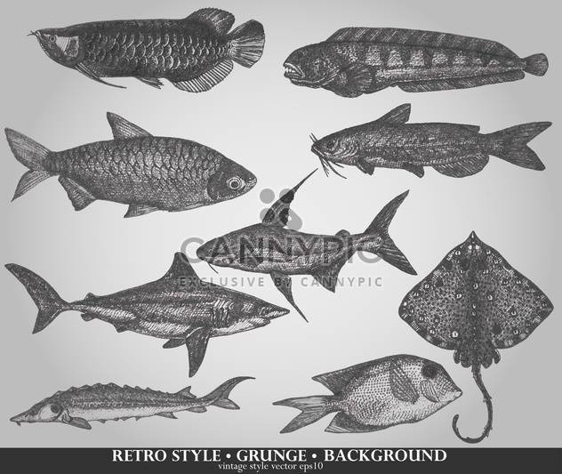 set of sea fish in retro style vector illustration - Free vector #135210